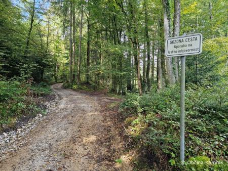 Sanacijska obnova gozdnih cest po poplavah (4)